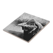 Carreau spiritueux et poulets (Côté)