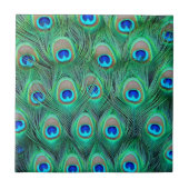 Carreau Splendeur de paon (Devant)