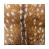 Carreau Spotted deer pour texture (Devant)