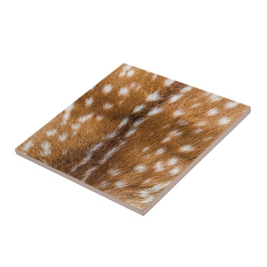 Carreau Spotted deer pour texture (Côté)