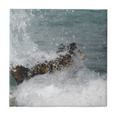 Carreau Spray (Devant)