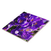 CARREAU SPRING CROCUS (Côté)