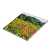 Carreau Spring Poppies Meadow and Mountain Landscape (Côté)