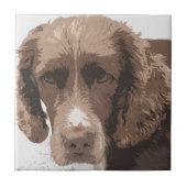 Carreau Springer anglais (Devant)