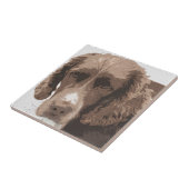 Carreau Springer anglais (Côté)