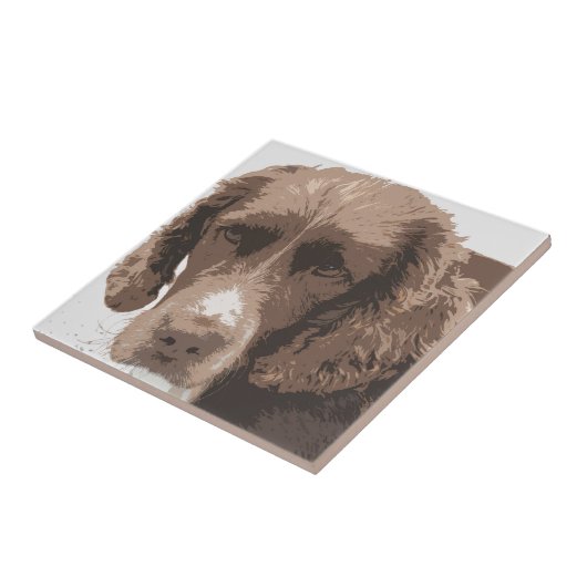 Carreau Springer anglais (Côté)