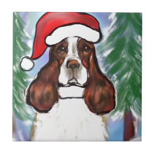 CARREAU SPRINGER SPANIEL ANGLAIS