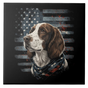 Carreau Springer Spaniel Chien Drapeau Américain