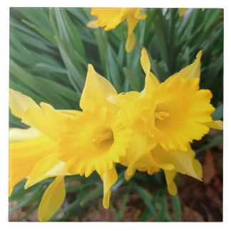 Carreau Springtime Flowers