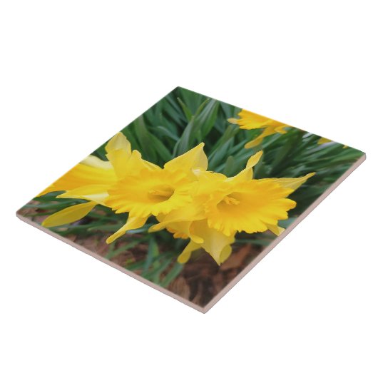 Carreau Springtime Flowers (Côté)