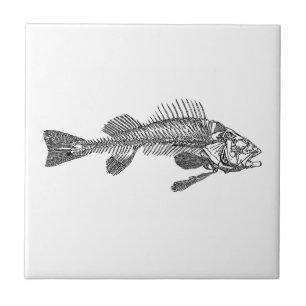 Carreau Squelette de poisson
