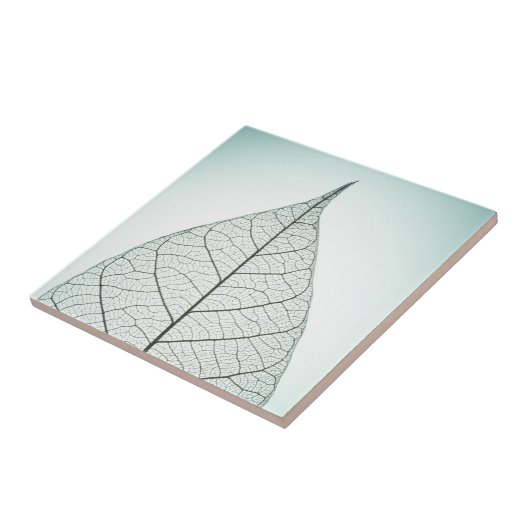 Carreau Squelette vert de feuille (Côté)