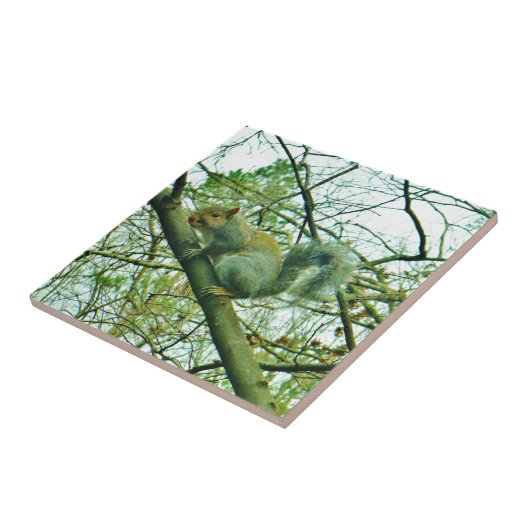 Carreau Squirl dans du fumier bleu light (Côté)