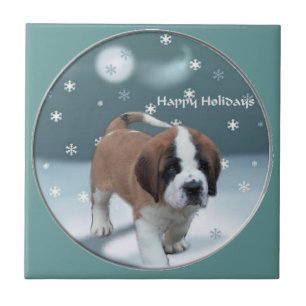 Carreau St Bernard Noël