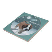 Carreau St Bernard Noël (Côté)