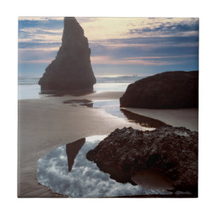 Carreau Stack marin en forme d'épine Face Rock Wayside,