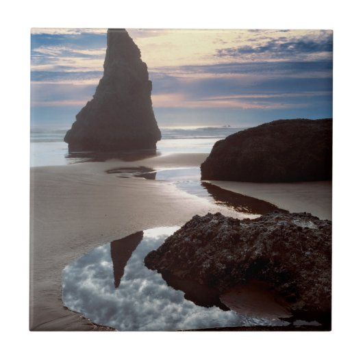 Carreau Stack marin en forme d'épine | Face Rock Wayside, (Devant)