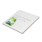 Carreau Stallion blanc (Côté)