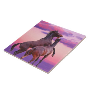 Carreau Stallions Jouer Carrelage