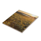 Carreau Stand Des Fleurs sauvages D'Arrowleaf Balsamroot (Côté)