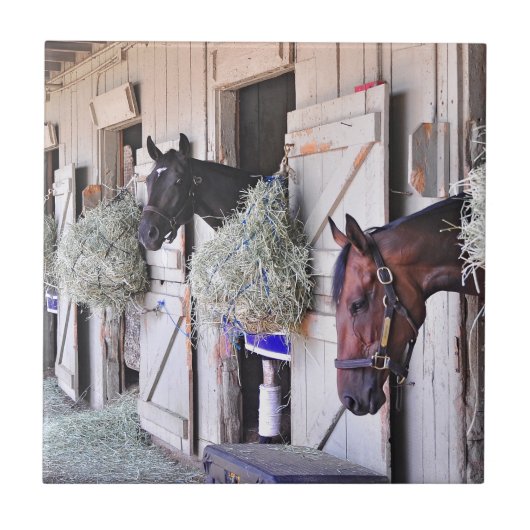 Carreau Stanwyck par le fabricant d'empire (Devant)