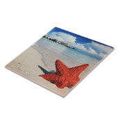 Carreau Starfish, Nassau, Bahamas (Côté)