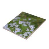 Carreau Starflower (Côté)