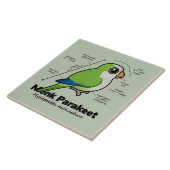 Carreau Statistiques de perruche de moine (Côté)