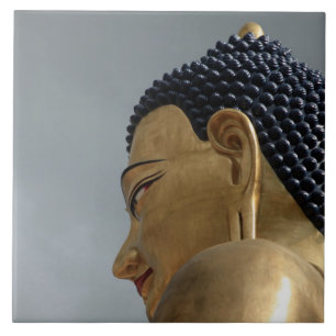 Carreau statue de Buddha Dordenma