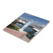 Carreau Statue de Vierge Marie (Côté)