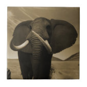 Carreau Stature de Majestic (Devant)