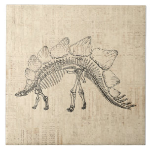 Carreau Stegosaurus Dinosaur Skeleton Papier à script Vin