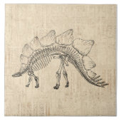 Carreau Stegosaurus Dinosaur Skeleton Papier à script Vint (Devant)