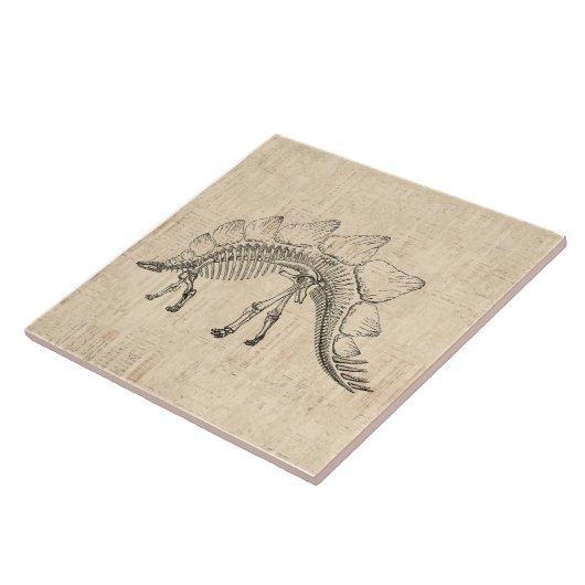 Carreau Stegosaurus Dinosaur Skeleton Papier à script Vint (Côté)