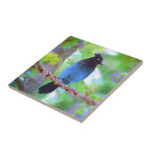 Carreau Steller's Jay Painting - Art original pour oiseaux (Côté)