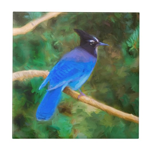 Carreau Steller's Jay Painting - Art original pour oiseaux (Devant)