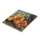 Carreau Still Life with Quince Pears de Vincent van Gogh (Côté)