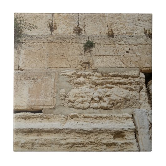 Carreau Stones Kotel Western Wall Jerusalem (Devant)