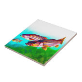 Carreau Striper d'Océan atlantique de bar d'Amérique (Côté)