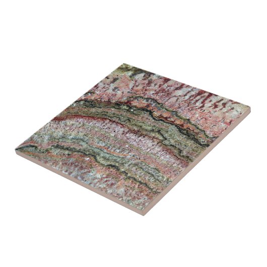 Carreau Stromatolites fossilisé (Côté)