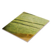 Carreau Structure de texture en pierre de taille semi-préc (Côté)