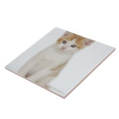 Carreau Studio tiré du chaton (Côté)