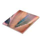 Carreau Succulent du désert (Côté)