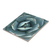 Carreau Succulent du désert botanique vert (Côté)