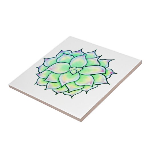 Carreau Succulent vert (Côté)