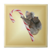 Carreau Sucre de canne de Noël Koalas (Devant)