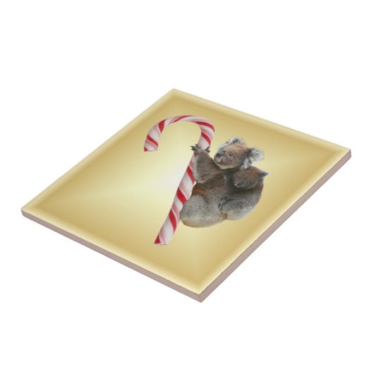 Carreau Sucre de canne de Noël Koalas (Côté)