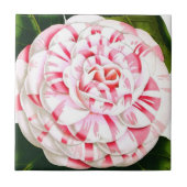 Carreau Sucre de canne rayé camélia (Devant)