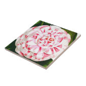 Carreau Sucre de canne rayé camélia (Côté)