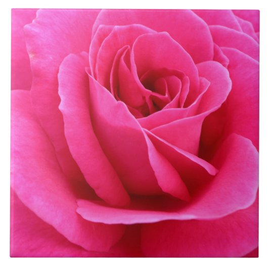 Carreau Sully Candy Rose rouge photo (Devant)